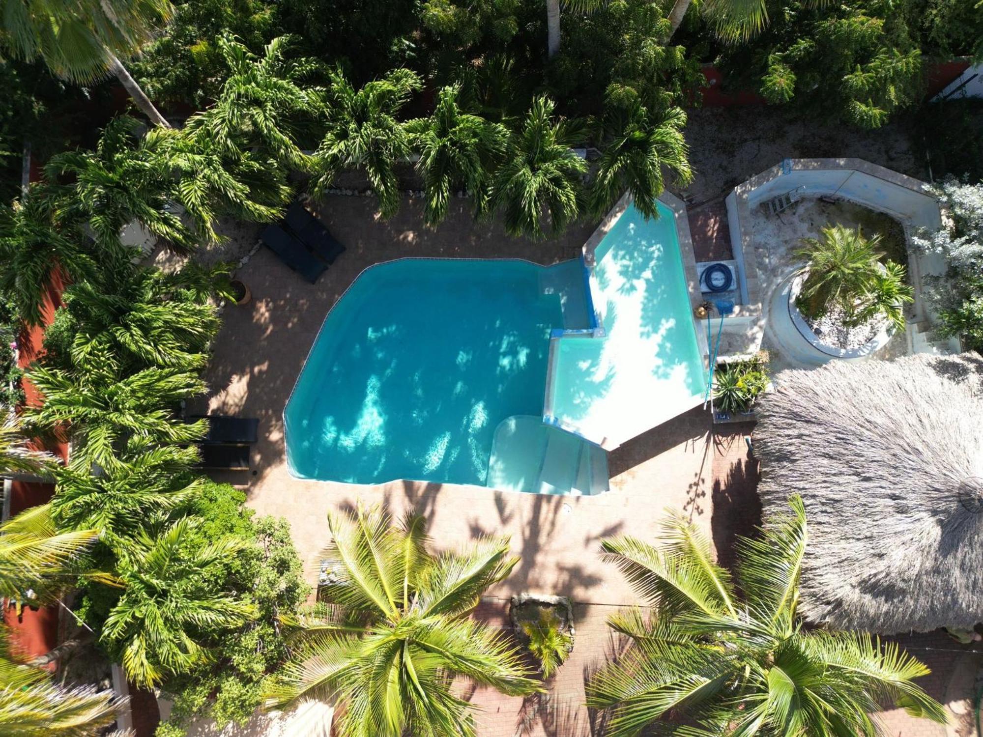 Woodstock Palmresort Curacao 빌렘스타트 외부 사진