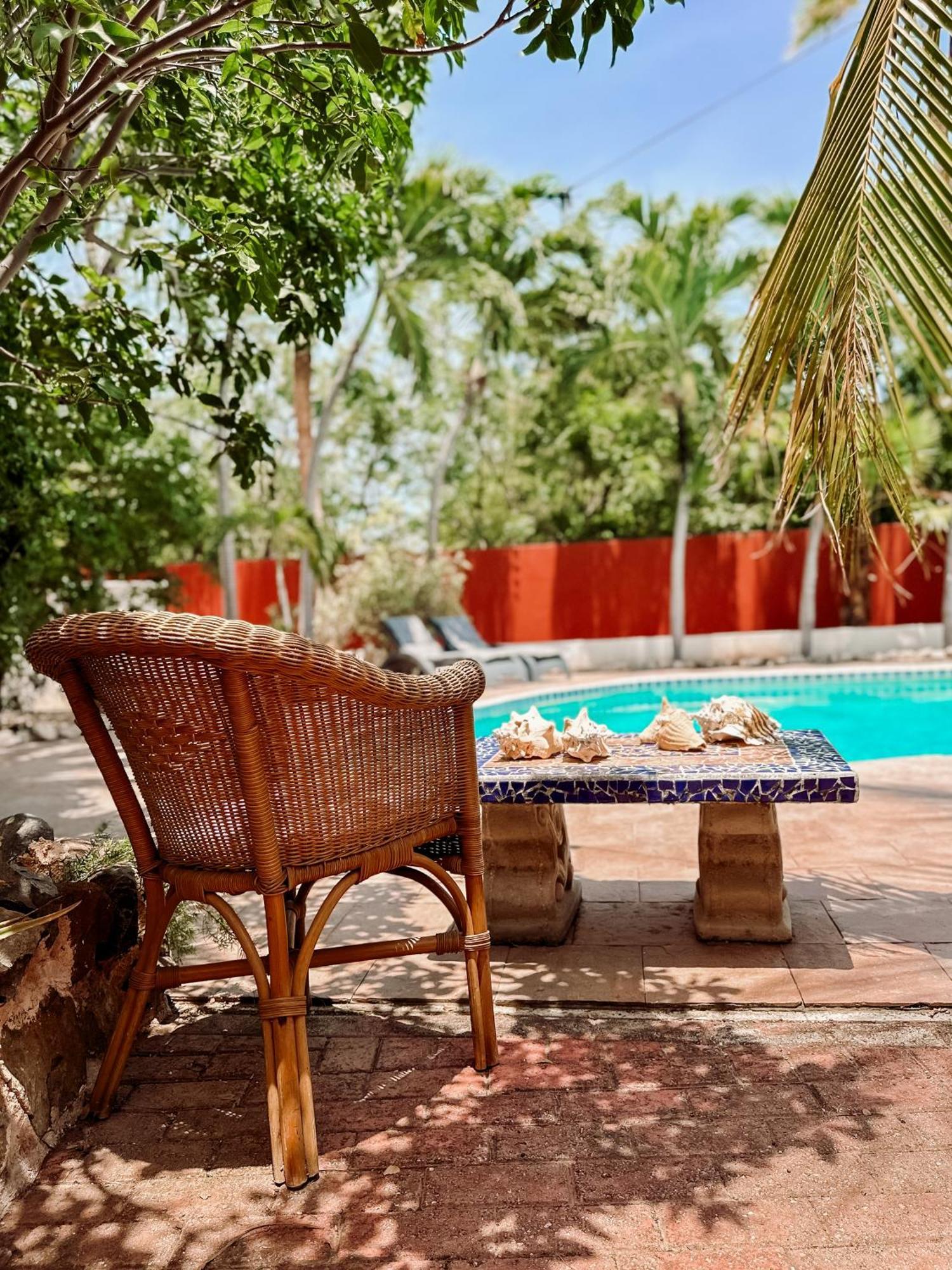 Woodstock Palmresort Curacao 빌렘스타트 외부 사진