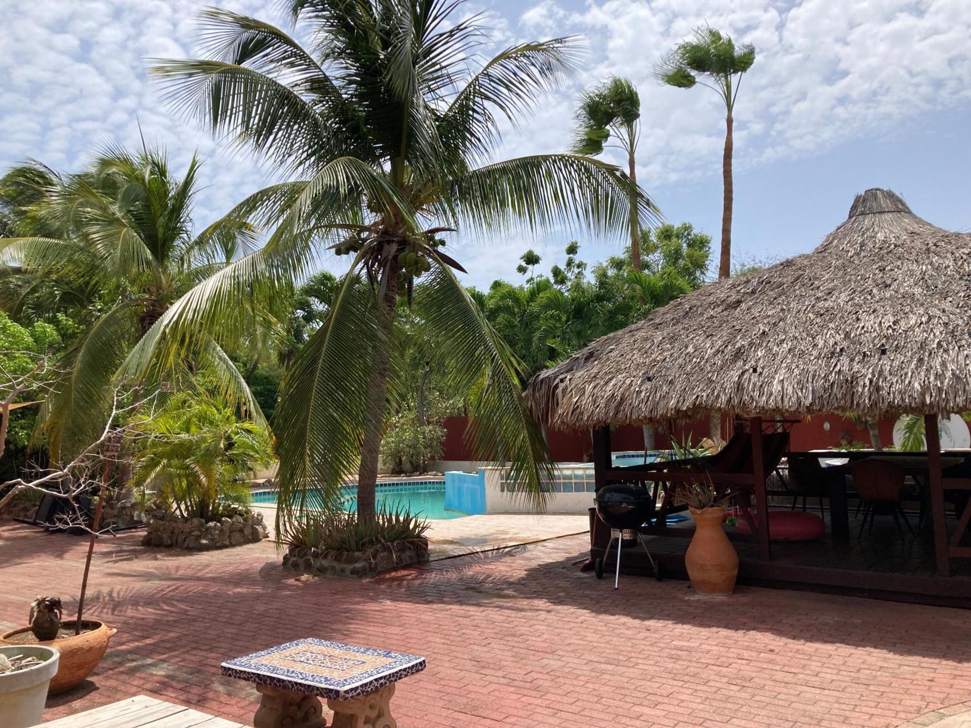 Woodstock Palmresort Curacao 빌렘스타트 외부 사진